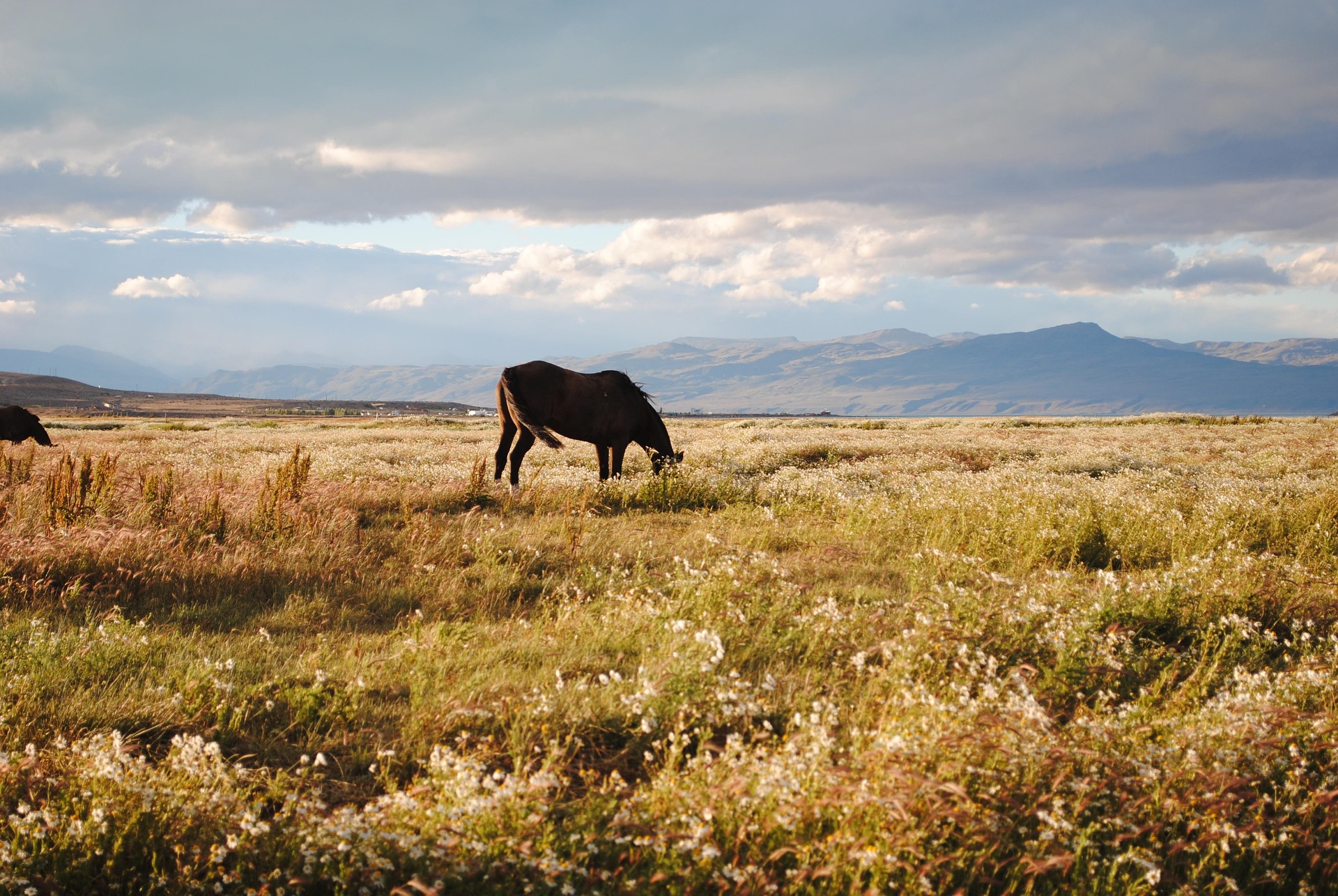 Nordwestargentinische Berglandschaft